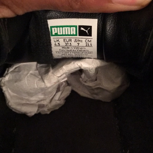 Pumas - Picture 3 of 4